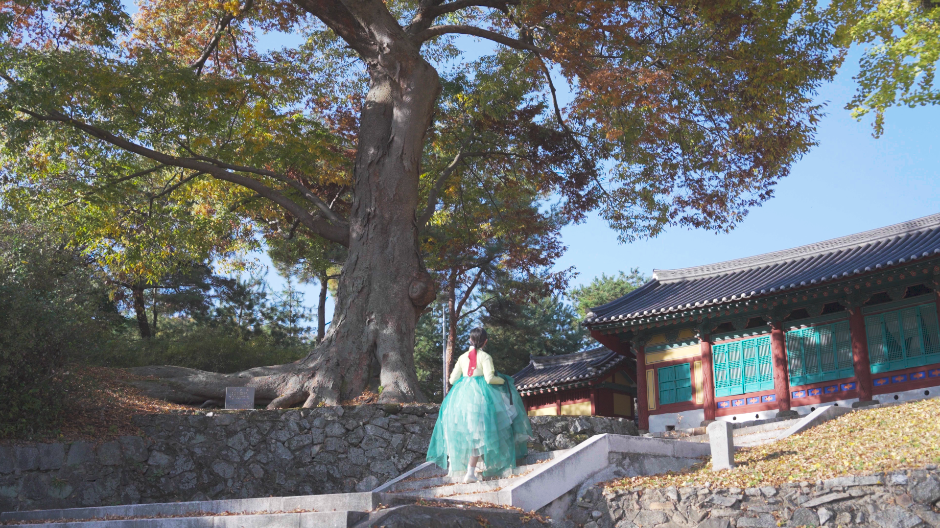 괴산향교 여행 추천 - 메고지고