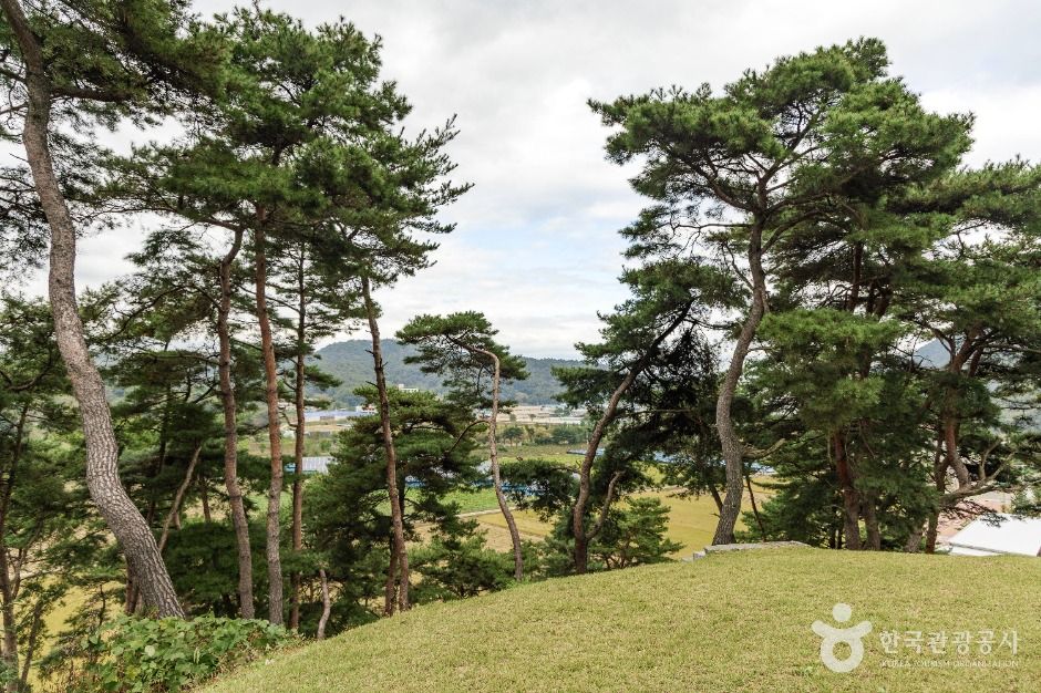 괴산 칠충사와 피세정 여행 추천 - 메고지고