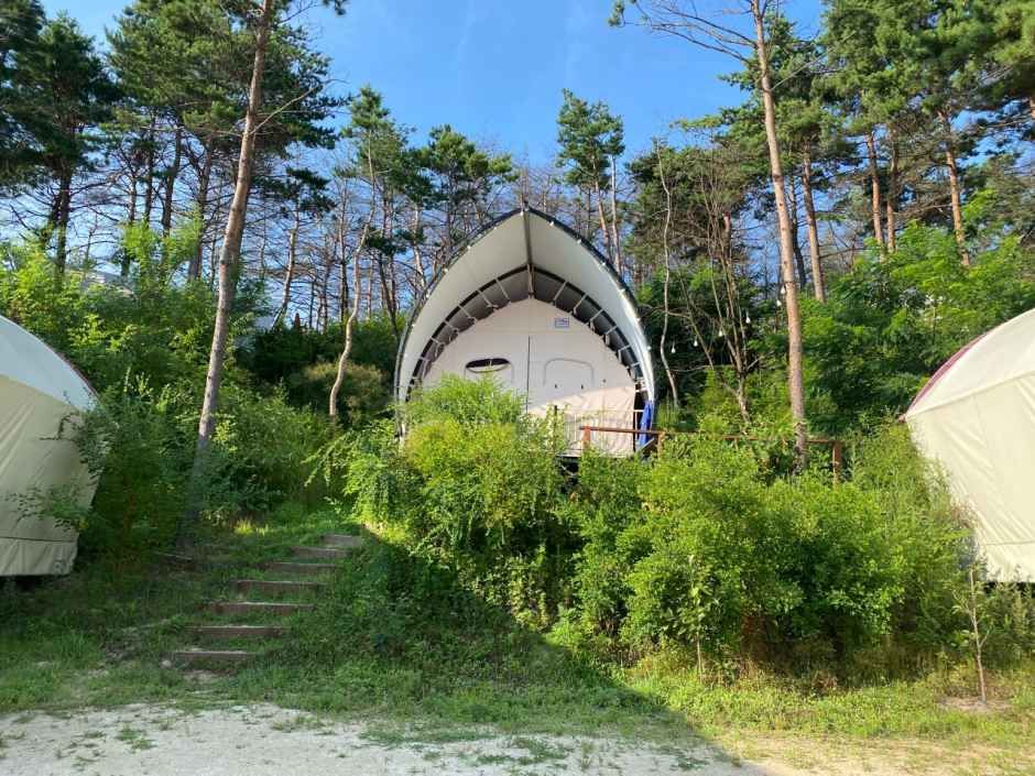 속초밤하늘글램핑 여행 추천 - 메고지고 속초밤하늘글램핑 여행 추천 - 메고지고