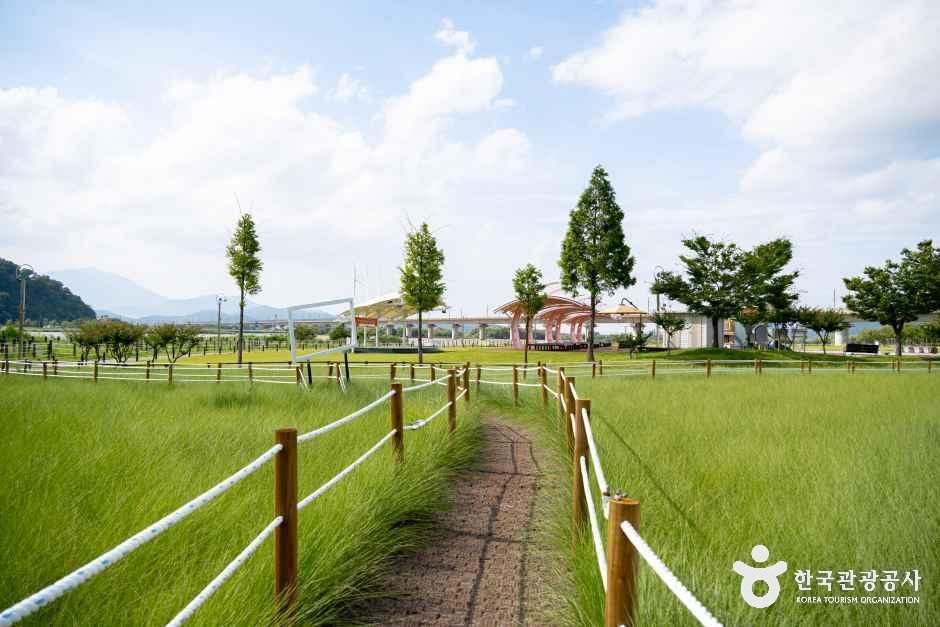 칠곡보 생태공원 여행 추천 - 메고지고