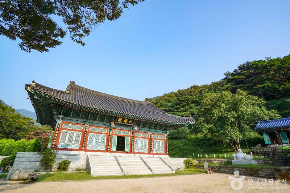 인곡리 모과나무 여행 추천 - 메고지고 인곡리 모과나무 여행 추천 - 메고지고