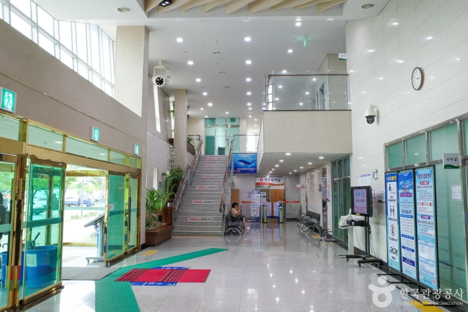 안산호수공원 실내수영장 여행 추천 - 메고지고