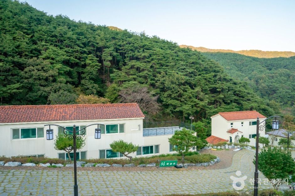 성모솔숲마을 여행 추천 - 메고지고 성모솔숲마을 여행 추천 - 메고지고