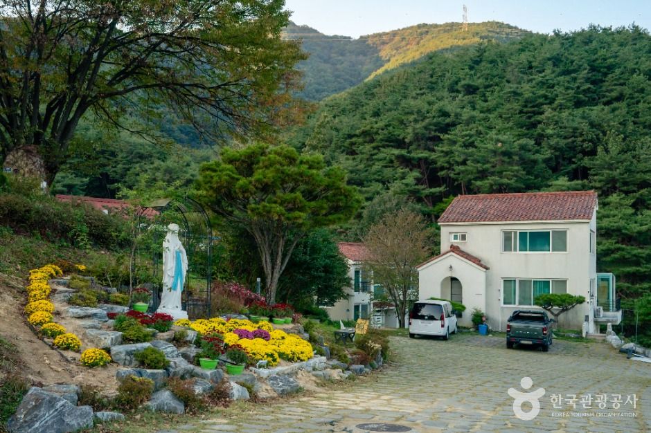 성모솔숲마을 여행 추천 - 메고지고 성모솔숲마을 여행 추천 - 메고지고
