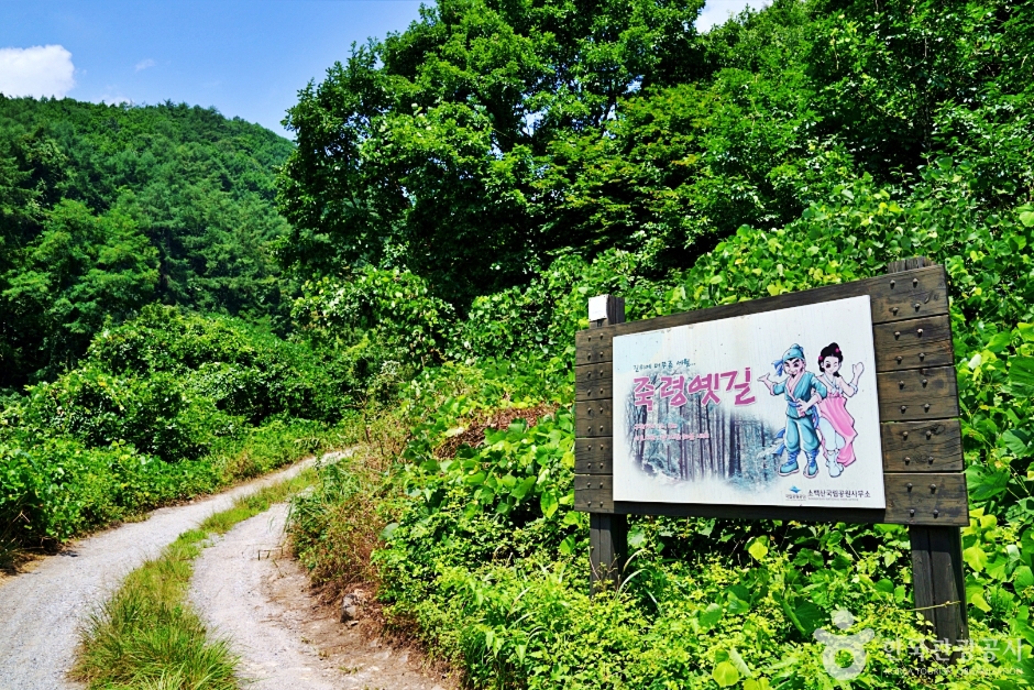 죽령옛길 여행 추천 - 메고지고