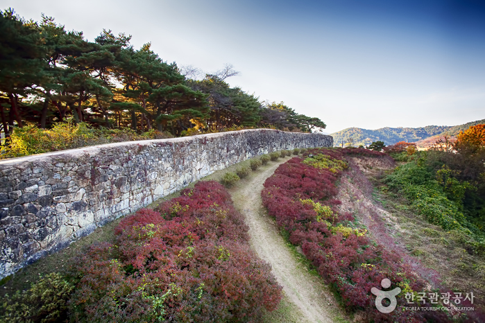 고창읍성 여행 추천 - 메고지고 고창읍성 여행 추천 - 메고지고
