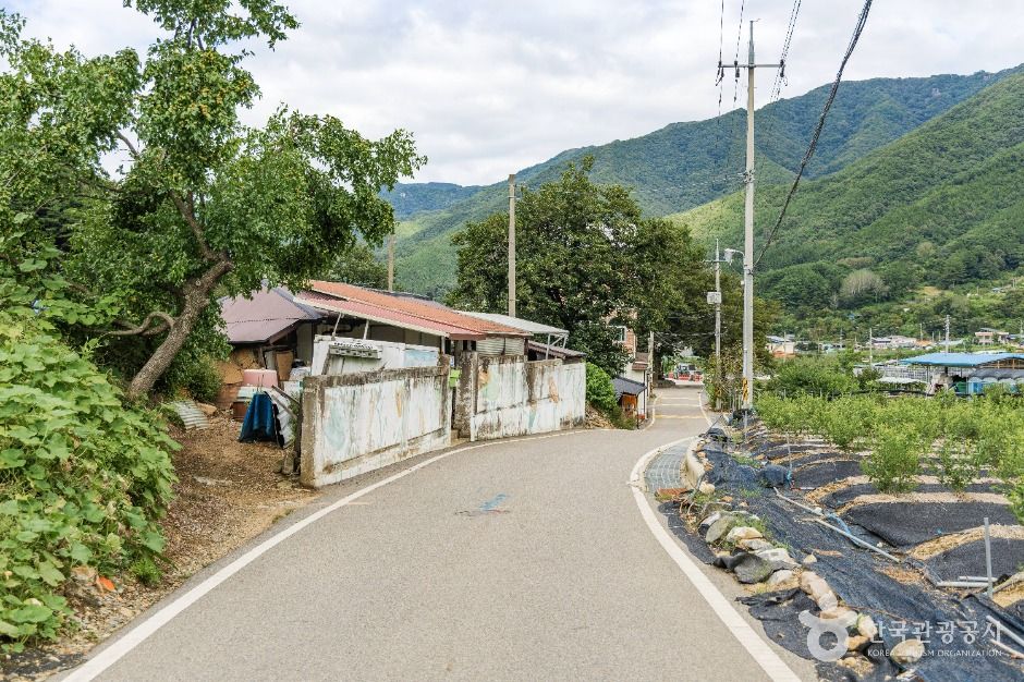 치목삼베마을 여행 추천 - 메고지고 치목삼베마을 여행 추천 - 메고지고