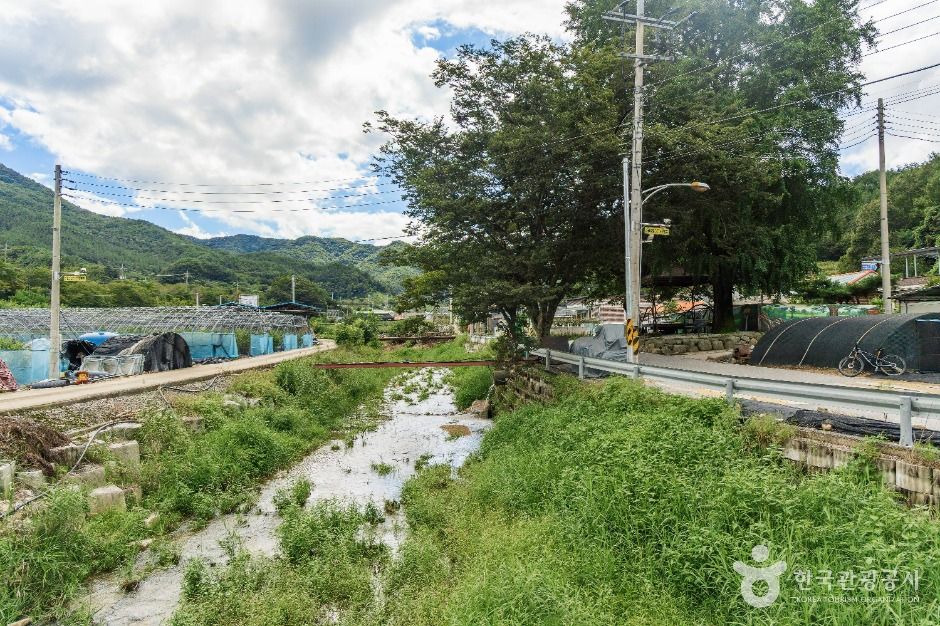 치목삼베마을 여행 추천 - 메고지고 치목삼베마을 여행 추천 - 메고지고