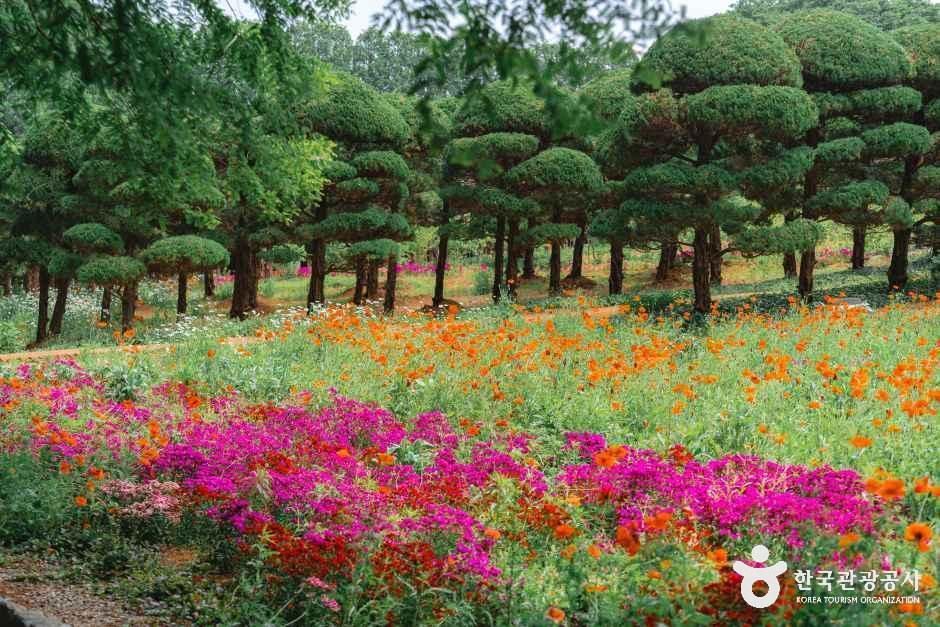 아가페정원 여행 추천 - 메고지고 아가페정원 여행 추천 - 메고지고