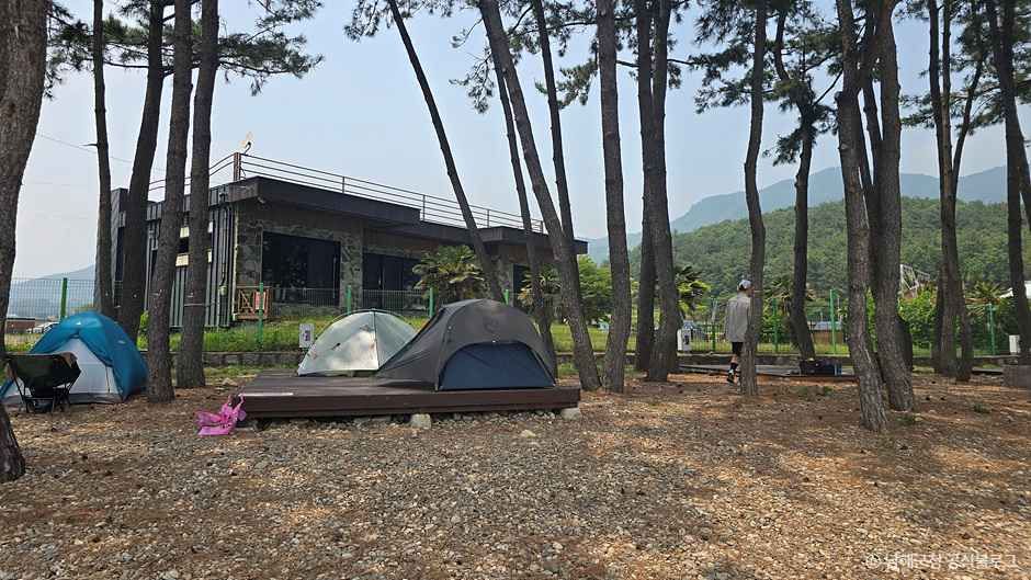 월포해수욕장야영장 여행 추천 - 메고지고 월포해수욕장야영장 여행 추천 - 메고지고
