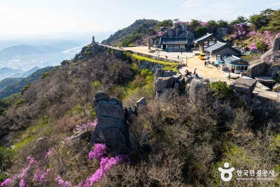 대견사 여행 추천 - 메고지고 대견사 여행 추천 - 메고지고