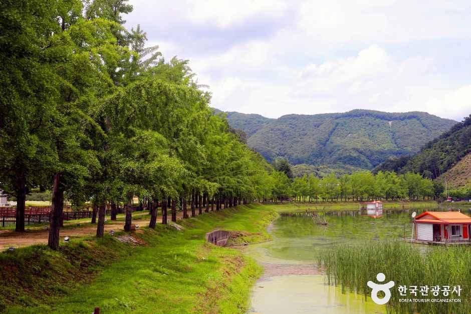 문광저수지 여행 추천 - 메고지고 문광저수지 여행 추천 - 메고지고