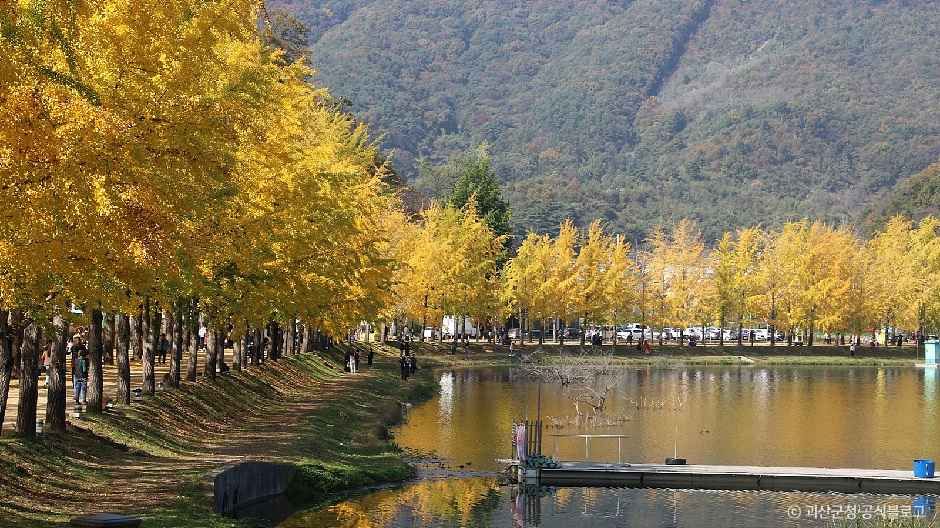 문광저수지 여행 추천 - 메고지고 문광저수지 여행 추천 - 메고지고