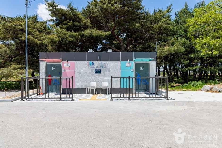 솔밭공원 여행 추천 - 메고지고