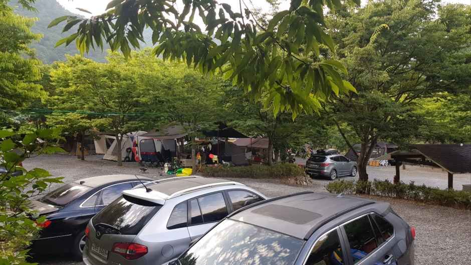 휴가를부탁해 캠핑장&야영장 여행 추천 - 메고지고 휴가를부탁해 캠핑장&야영장 여행 추천 - 메고지고