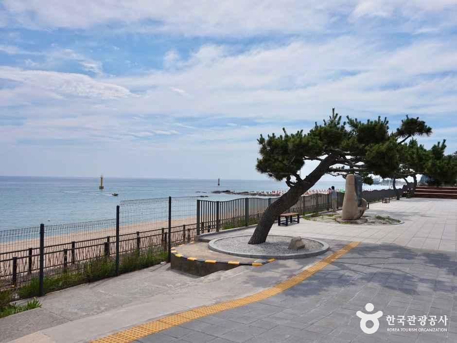 정동진역 여행 추천 - 메고지고 정동진역 여행 추천 - 메고지고