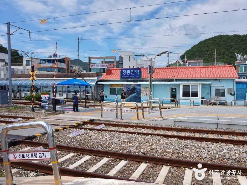 정동진역 여행 추천 - 메고지고 정동진역 여행 추천 - 메고지고