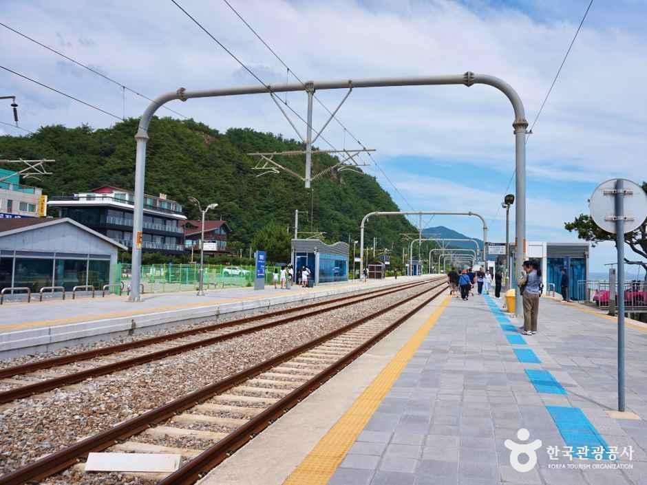 정동진역 여행 추천 - 메고지고 정동진역 여행 추천 - 메고지고