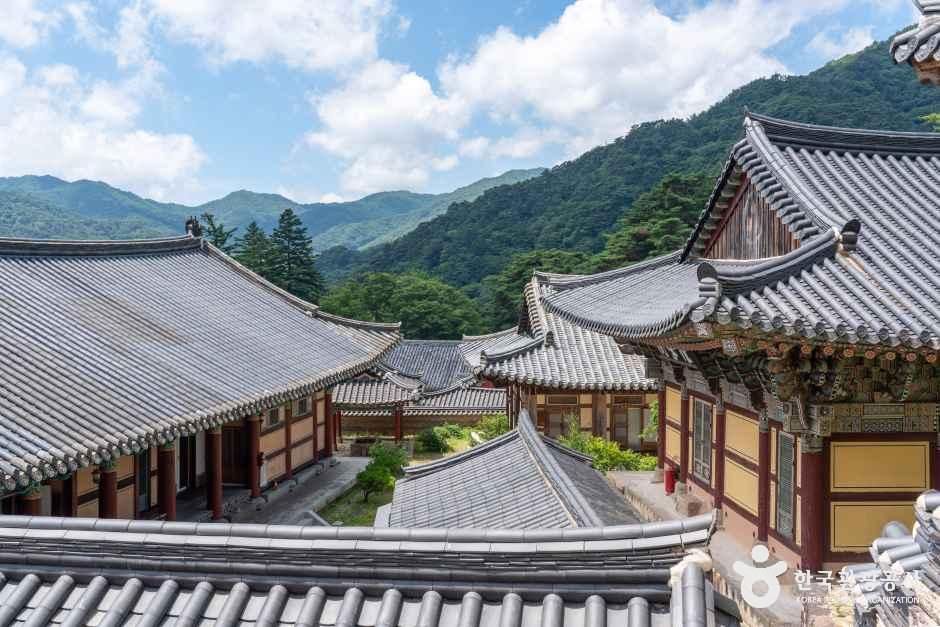 해인사(합천) 여행 추천 - 메고지고 해인사(합천) 여행 추천 - 메고지고