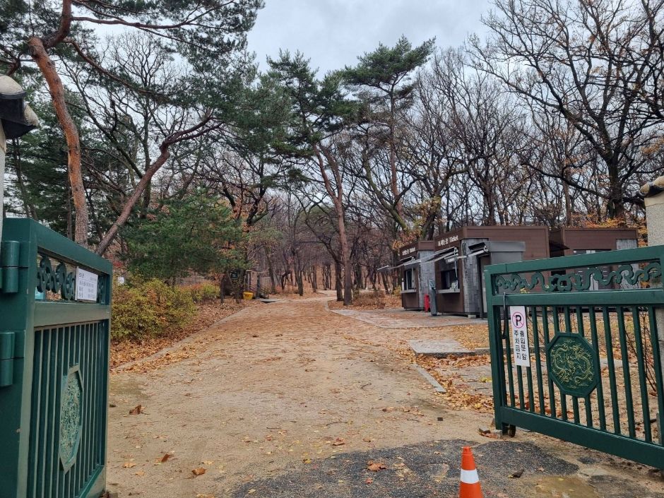 태릉강릉 여행 추천 - 메고지고 태릉강릉 여행 추천 - 메고지고