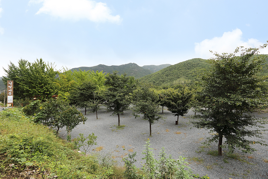 별빛마을 여행 추천 - 메고지고