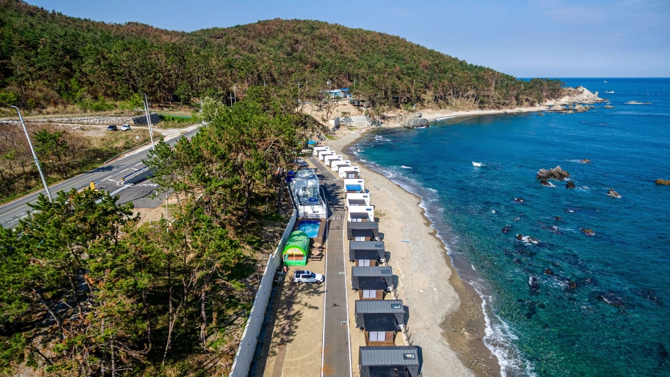 블루밍카라반 여행 추천 - 메고지고 블루밍카라반 여행 추천 - 메고지고