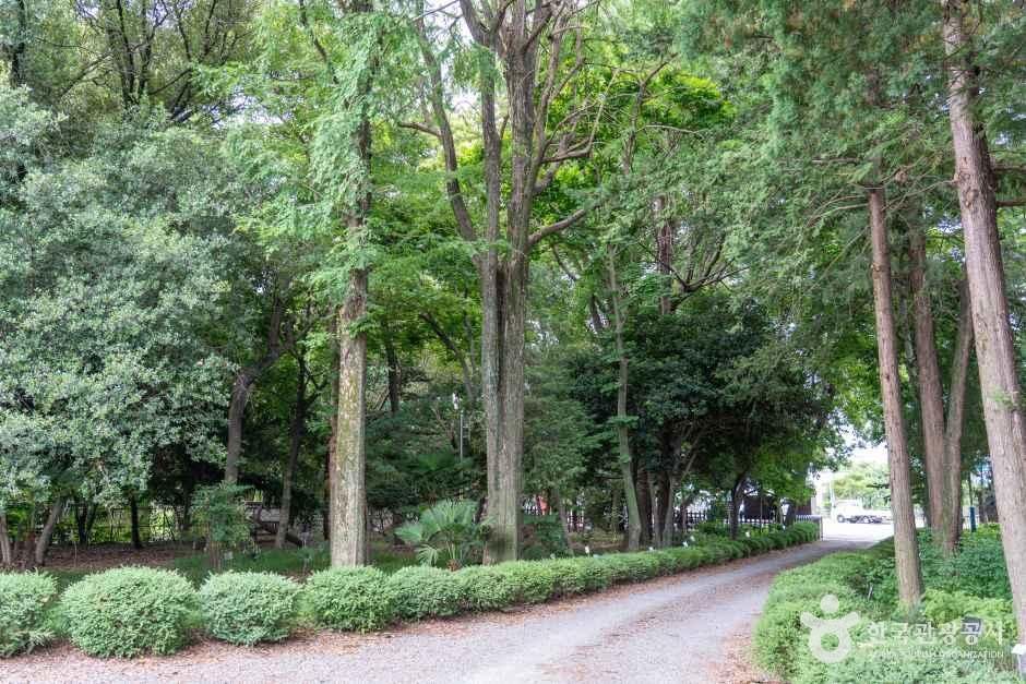 광양 서울대학교 남부연습림 관사 여행 추천 - 메고지고 광양 서울대학교 남부연습림 관사 여행 추천 - 메고지고