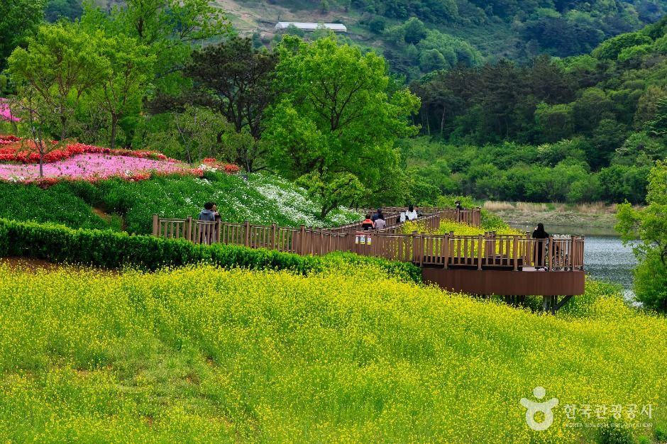 옥정호 출렁다리 및 붕어섬생태공원 여행 추천 - 메고지고