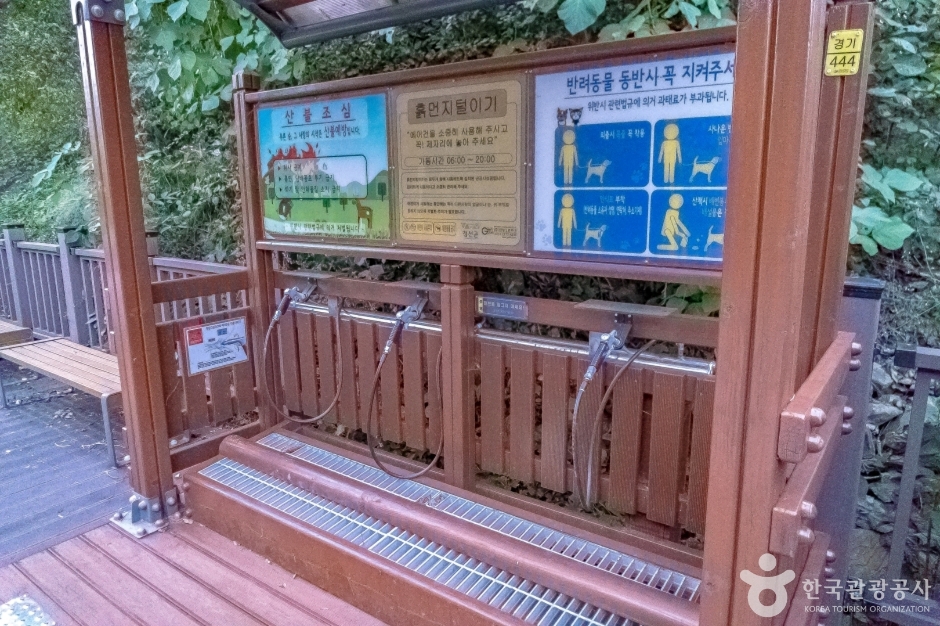 나리소전망대 여행 추천 - 메고지고 나리소전망대 여행 추천 - 메고지고