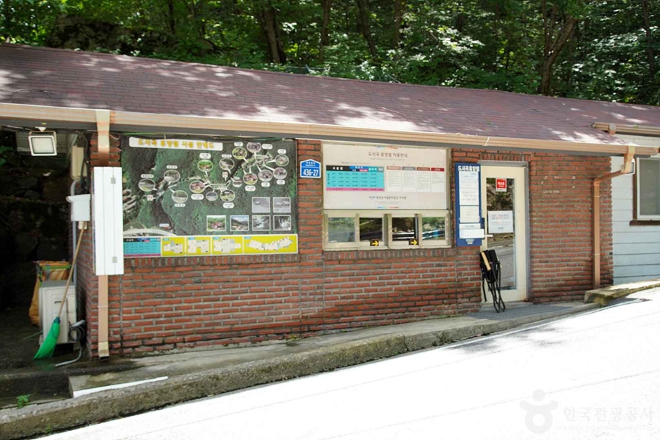 도사곡휴양림 여행 추천 - 메고지고 도사곡휴양림 여행 추천 - 메고지고