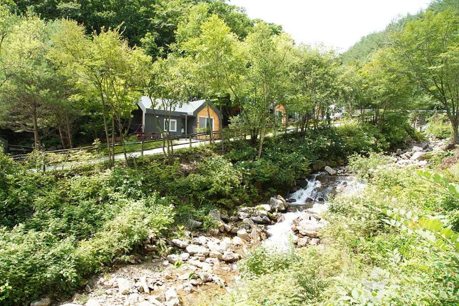 도사곡휴양림 여행 추천 - 메고지고 도사곡휴양림 여행 추천 - 메고지고