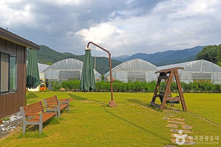 삼생 정보화마을 여행 추천 - 메고지고 삼생 정보화마을 여행 추천 - 메고지고