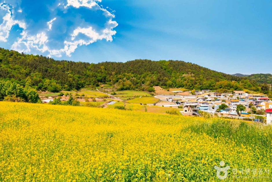 선학동 마을 여행 추천 - 메고지고 선학동 마을 여행 추천 - 메고지고