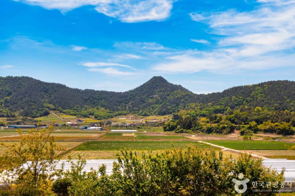 선학동 마을 여행 추천 - 메고지고 선학동 마을 여행 추천 - 메고지고