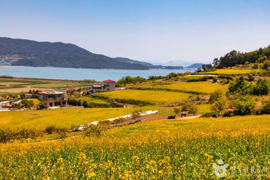 선학동 마을 여행 추천 - 메고지고 선학동 마을 여행 추천 - 메고지고