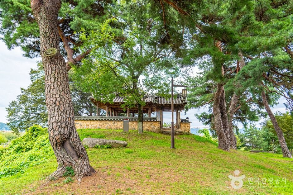 삼귀정 여행 추천 - 메고지고 삼귀정 여행 추천 - 메고지고
