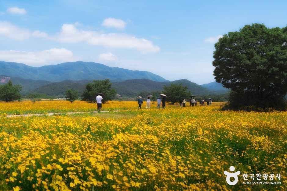 강정습지 여행 추천 - 메고지고