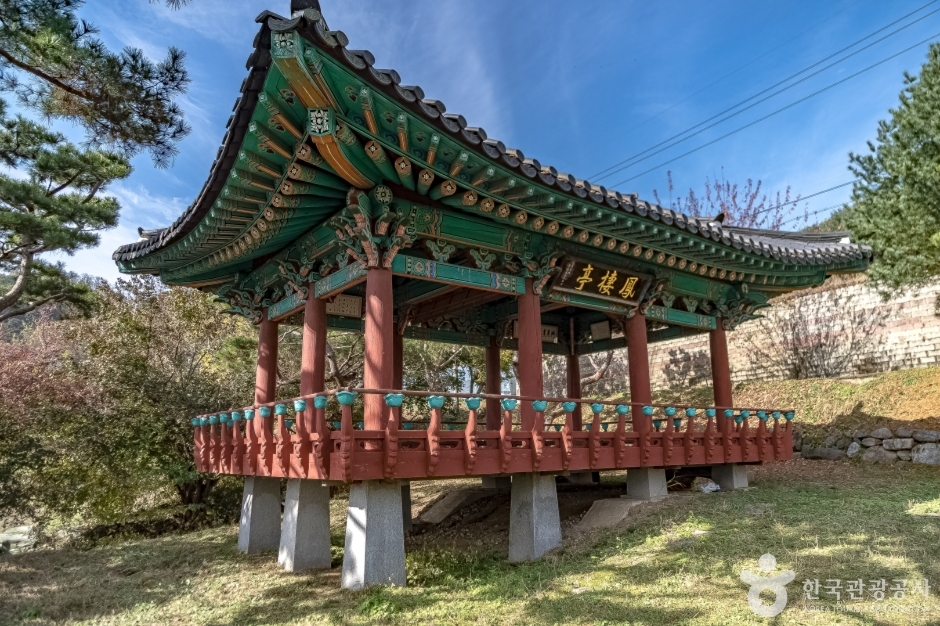 봉서정 여행 추천 - 메고지고 봉서정 여행 추천 - 메고지고
