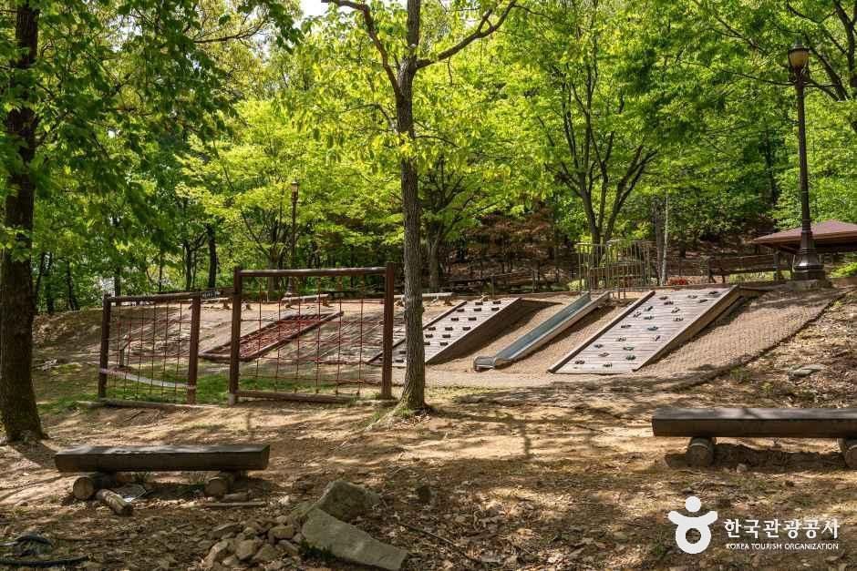 알콩달콩유아숲체험원 여행 추천 - 메고지고