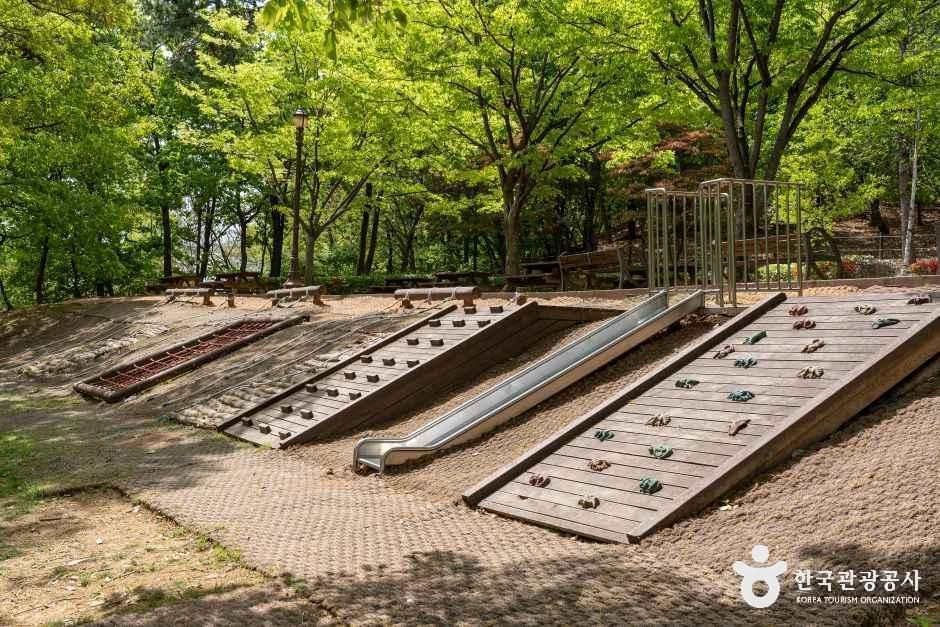 알콩달콩유아숲체험원 여행 추천 - 메고지고