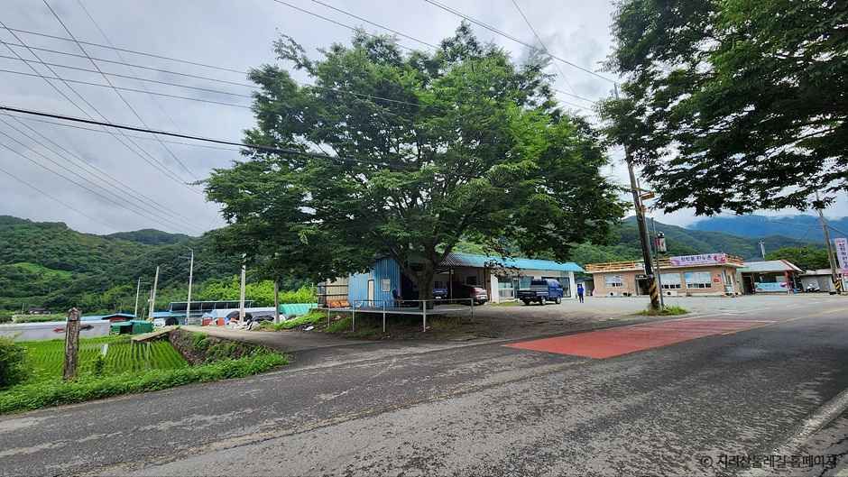 [지리산둘레길] 하동호-삼화실 여행 추천 - 메고지고