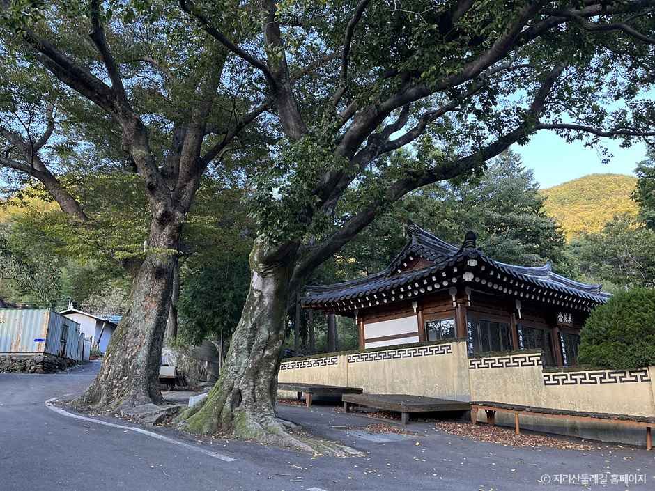 [지리산둘레길] 삼화실-대축 여행 추천 - 메고지고