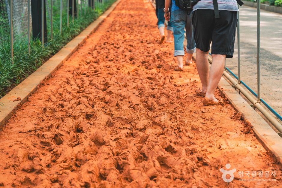 서대문 안산(안산자락길) 여행 추천 - 메고지고