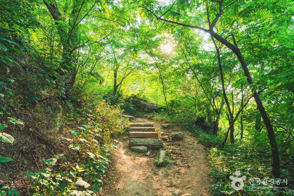 서대문 안산(안산자락길) 여행 추천 - 메고지고