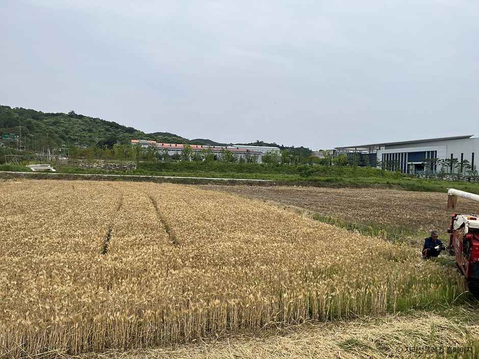 [지리산둘레길] 수철-성심원 여행 추천 - 메고지고