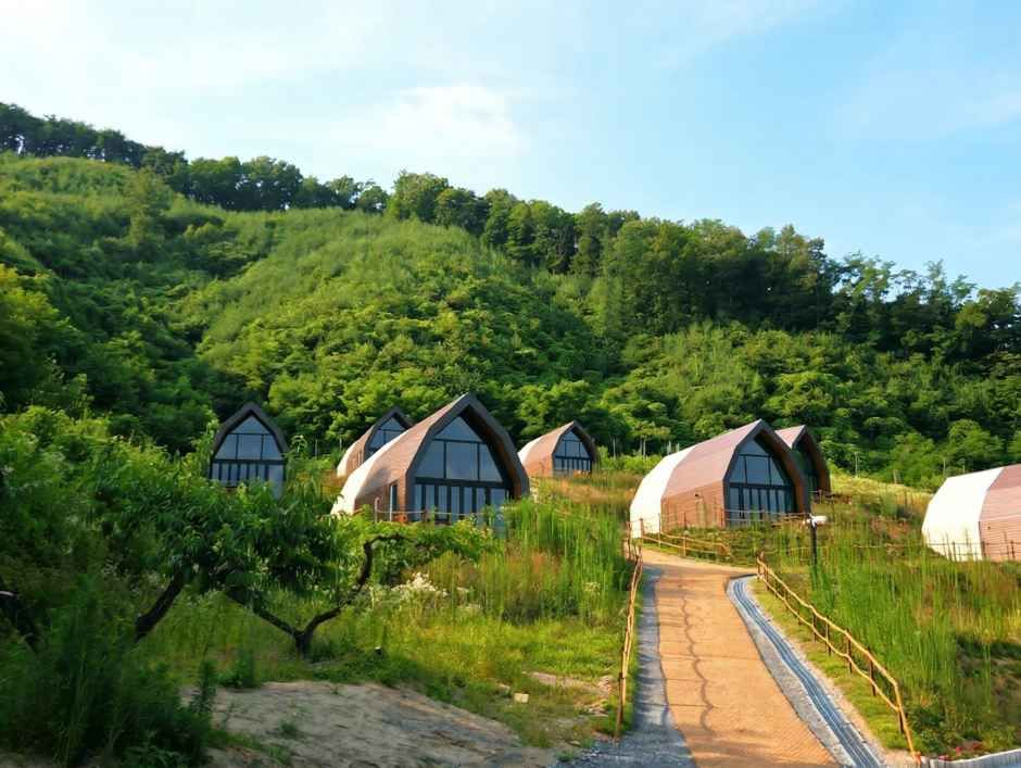 오차드블리스 여행 추천 - 메고지고