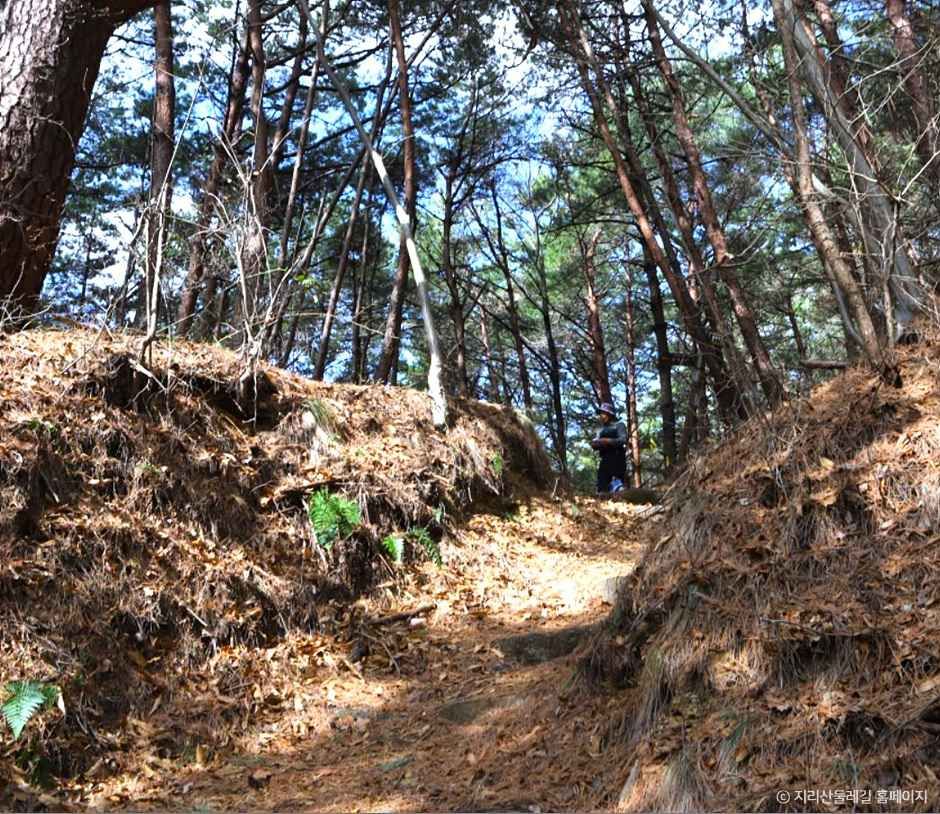 [지리산둘레길] 가탄-송정 여행 추천 - 메고지고