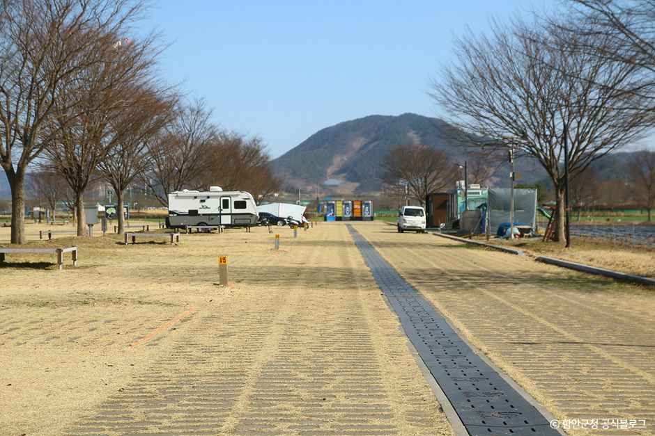 강나루오토캠핑장 여행 추천 - 메고지고 강나루오토캠핑장 여행 추천 - 메고지고