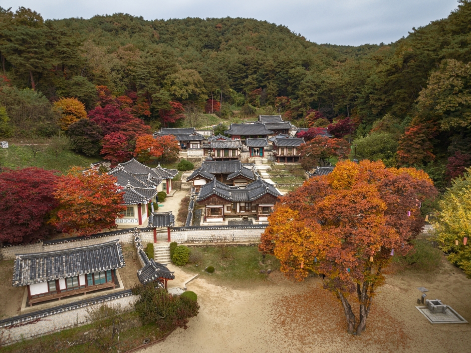 도산서원 [유네스코 세계유산] 여행 추천 - 메고지고