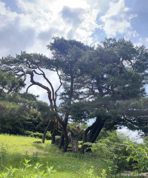 [지리산둘레길] 방광-산동 여행 추천 - 메고지고